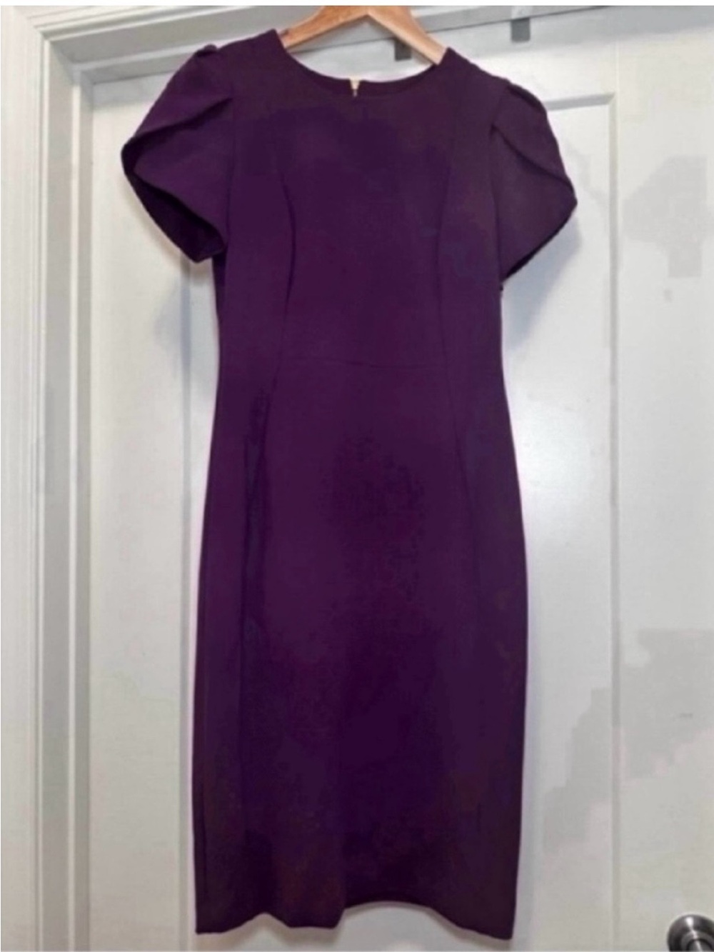 💜 NWT! Plum CALVIN KLEIN Tulip Sleeve Sheath Dress - Size 2